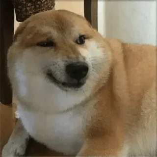 ✨ emoji Doge Telegram sticker 15 of 111