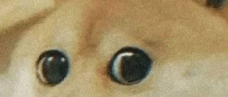 🤔 emoji Doge Telegram sticker 12 of 111
