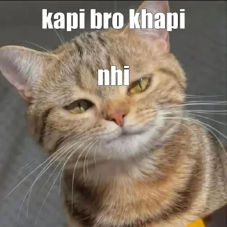 🤔 emoji Kapu🐾's sticker pack (@Mikasa_Ackr_bot) Telegram sticker 9 of 84