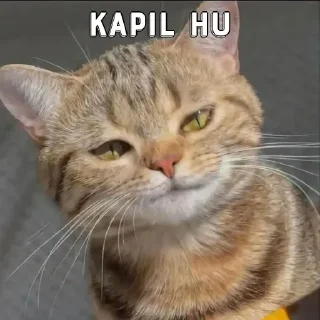 🤔 emoji Kapu🐾's kang pack Telegram sticker 10 of 20