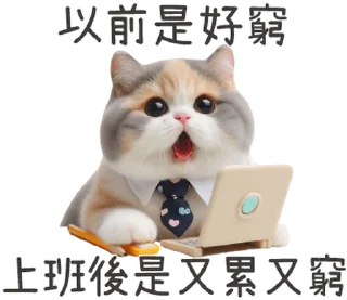 Sticker from 柒月@seven_ovo