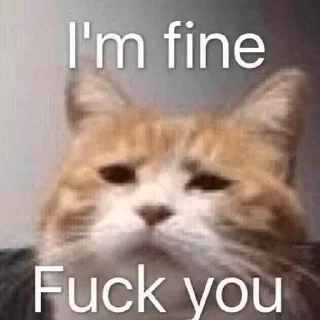 🙃 emoji @Justdailythings | Cat Mood Telegram sticker 15 of 120