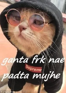 Sticker from cat mood