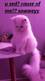 Sticker from cat mood