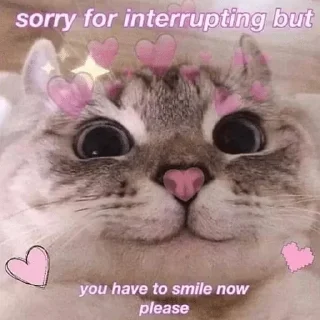 🥰 emoji @Justdailythings | Cat Mood Telegram sticker 6 of 120