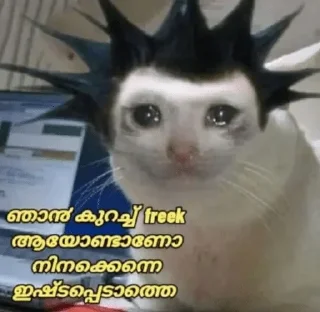 😿 emoji @Vija_I @Dc_Mth @stickers369 — @stckrRobot Telegram sticker 19 of 120