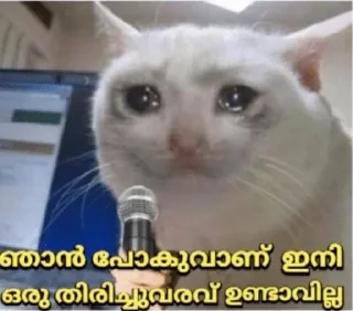 😢 emoji @Vija_I @Dc_Mth @stickers369 — @stckrRobot Telegram sticker 23 of 120