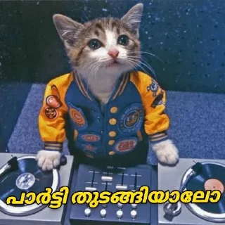 🤩 emoji @Vija_I @Dc_Mth @stickers369 — @stckrRobot Telegram sticker 6 of 120