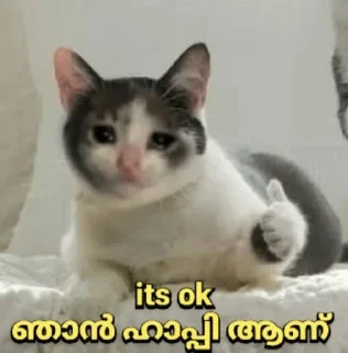 🥺 emoji @Vija_I @Dc_Mth @stickers369 — @stckrRobot Telegram sticker 22 of 120