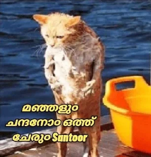 🛀 emoji @Vija_I @Dc_Mth @stickers369 — @stckrRobot Telegram sticker 21 of 120