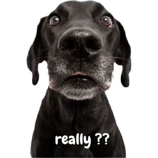 😳 emoji @Vija_I @Dc_Mth @stickers369 — @stckrRobot Telegram sticker 4 of 120