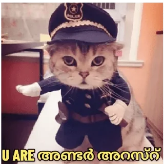👮‍♂ emoji @Vija_I @Dc_Mth @stickers369 — @stckrRobot Telegram sticker 9 of 120