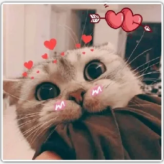 🥰 emoji @Vija_I @Dc_Mth @stickers369 — @stckrRobot Telegram sticker 10 of 120