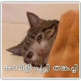 🥺 emoji @Vija_I @Dc_Mth @stickers369 — @stckrRobot Telegram sticker 18 of 120