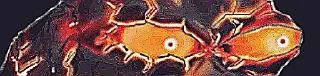🤣 emoji @asmodeus_369 hara menduk Telegram sticker 12 of 48
