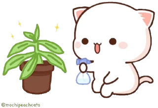 🪴 emoji ᴀʟᴀsᴛᴀɪʀ ™ 🇮🇳s video kang pack Telegram sticker 23 of 50