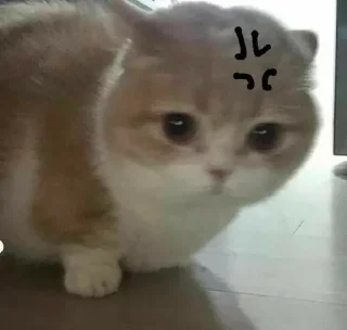 🍄 emoji Lwam [Pucci] Telegram sticker 9 of 71