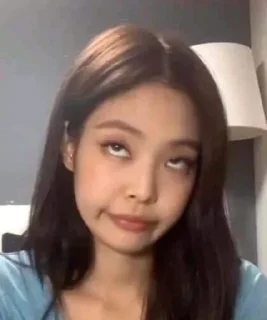 Sticker from BLACKPINK in ur area 🤡
