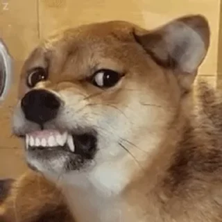 😡 emoji 蜜仔專用-傻 Telegram sticker 7 of 50