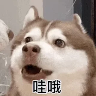 😯 emoji 蜜仔專用-傻 Telegram sticker 8 of 50