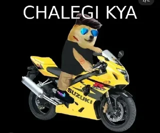 🏍 emoji Rolex's Sticker Pack (@Zeroo_Twoo_Bot) 1 Telegram sticker 16 of 120