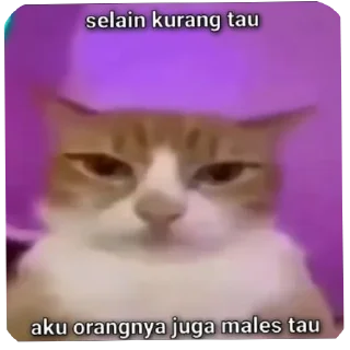 Sticker from Punya gue