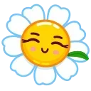 🌼 emoji cicaxp Telegram sticker 14 of 34
