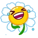 😂 emoji cicaxp Telegram sticker 12 of 34