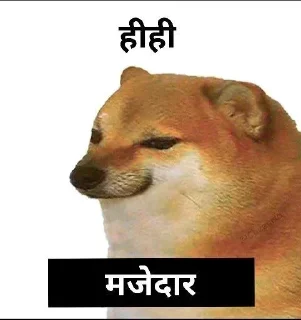 Sticker from 𝐇𝐢𝐧𝐝𝐢 𝐃ᴏɢ 𝐌ᴇᴍᴇ 💀 @indianstickermeme — @stckrRobot