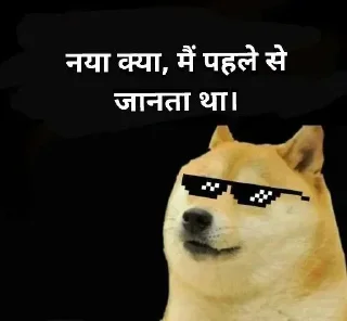 Sticker from 𝐇𝐢𝐧𝐝𝐢 𝐃ᴏɢ 𝐌ᴇᴍᴇ 💀 @indianstickermeme — @stckrRobot