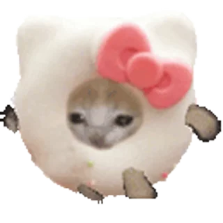 🐈 emoji Happy Happy 🌚🌝 @r_squared_rishabh — @stckrRobot Telegram sticker 24 of 41