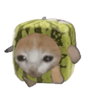 🐈 emoji Happy Happy 🌚🌝 @r_squared_rishabh — @stckrRobot Telegram sticker 14 of 41