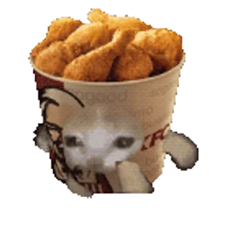 🐈 emoji Happy Happy 🌚🌝 @r_squared_rishabh — @stckrRobot Telegram sticker 18 of 41