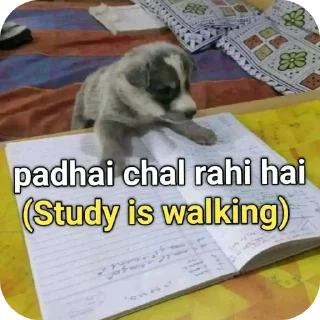 Sticker from Joy's sticker pack @Ranajoy05