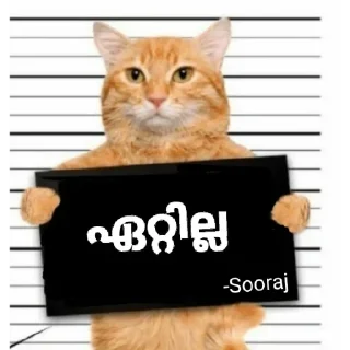 Sticker from @vincent_2255