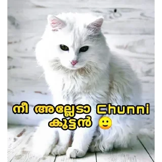 😂 emoji @vincent_2255 Telegram sticker 19 of 120