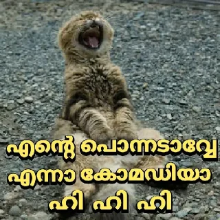 😂 emoji @vincent_2255 Telegram sticker 9 of 120