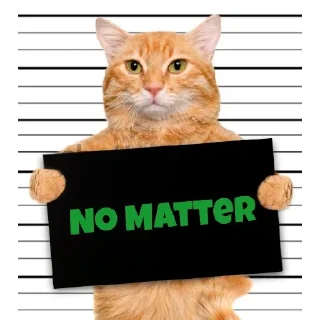 Sticker from @vincent_2255