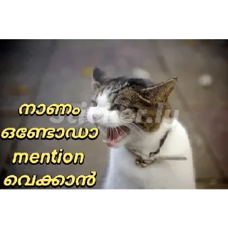 😂 emoji @vincent_2255 Telegram sticker 16 of 120