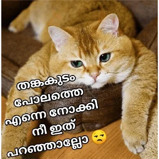 😂 emoji @vincent_2255 Telegram sticker 8 of 120