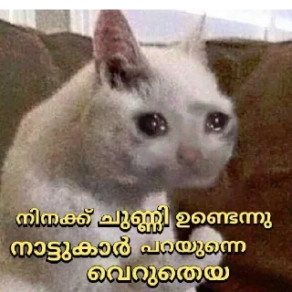 🥺 emoji @vincent_2255 Telegram sticker 17 of 120