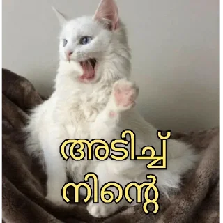 😂 emoji @vincent_2255 Telegram sticker 23 of 120