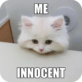 🐱 emoji Yami. Telegram sticker 16 of 119