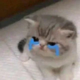 😢 emoji jipey punya Telegram sticker 7 of 48