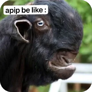 🫥 emoji no strict friends pack by @QuotLyBot Telegram sticker 24 of 35