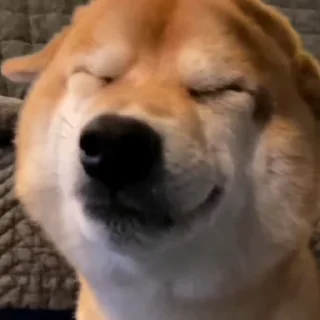 ☺️ emoji Dogesh @Trystickers Telegram sticker 21 of 50