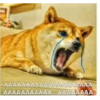 😅 emoji Doge Dogesh Telegram sticker 17 of 119