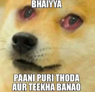 🥺 emoji Doge Dogesh Telegram sticker 22 of 119