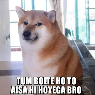 🤣 emoji Doge Dogesh Telegram sticker 18 of 119