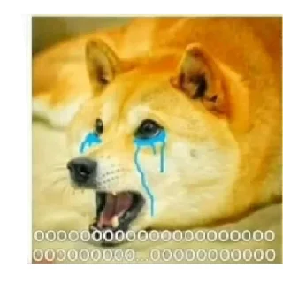 😂 emoji Doge Dogesh Telegram sticker 16 of 119